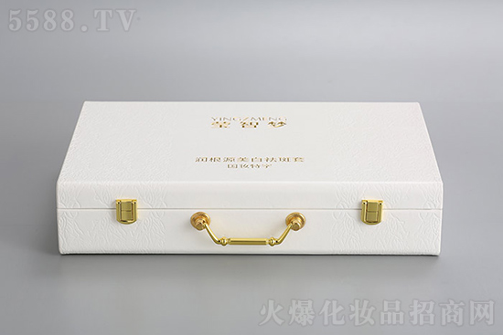 莹智梦润根源美白祛斑套 莹智梦润根源美白祛斑套