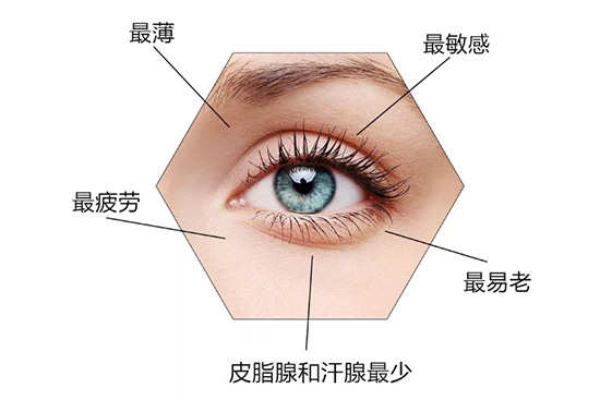 陕西娇子化妆品有限公司