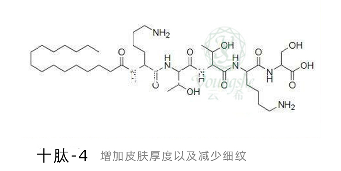 靓宝琪草本修护平衡套