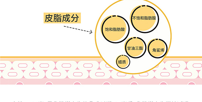 高地保湿修护霜