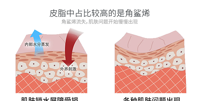 高地保湿修护霜